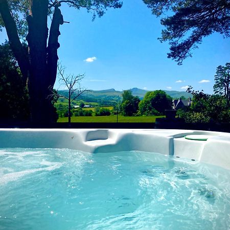 Mountain View Cottage, Hot Tub , Stunning Views Llanhamlach Exterior foto